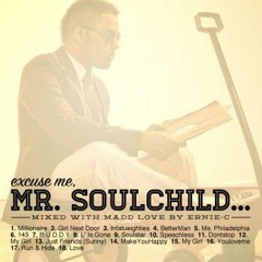 Excuse me, Mr. Soulchild...