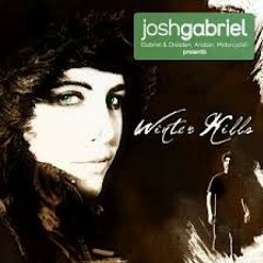 Josh Gabriel Presents Winter Kills - Ichabod (Ali Ravan Remix)