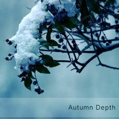 Autumn Depth
