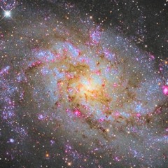 I want to hold your hand.....