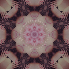 Phases Ft. Sorcha Richardson (free download)