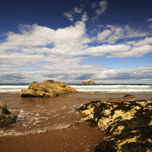 I Wouldn't Change A Thing/Collaboration with Sesar & Flohbold