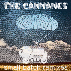 The Cannanes - Crawler (Richie Phoe remix)