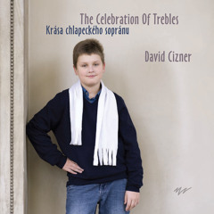 David Cizner - Walking in the Air