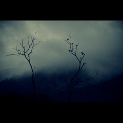 Nils Frahm - Re (We are Empty, Sridhar rework)
