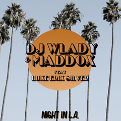 Dj Wlady & Maddox feat. Luke Erik Silver - Night in L.A.