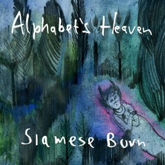 [DELUXE018]  Alphabets Heaven -  Fornia  (download @ XLR8R)