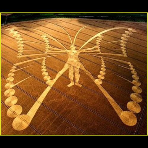 Ice-Effect - Simply Conversation