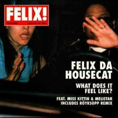 Felix Da Housecat - What Does It Feel Like
