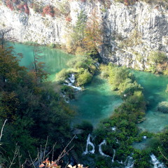 Beauty of the World