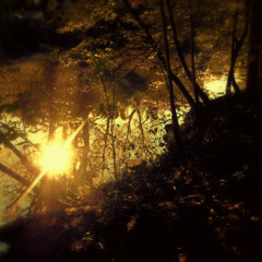 Ambient