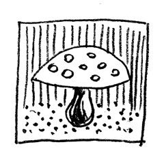 SPIRITS OF THE FOREST - Sealencium Orchestra