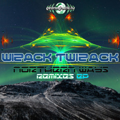 Wizack Twizack - Northern Ways (Sienis Remix)