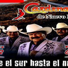 De Norte A Sur Mix-Los Cardenales De Nuevo Leon