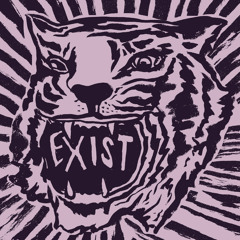 Fool The Tiger