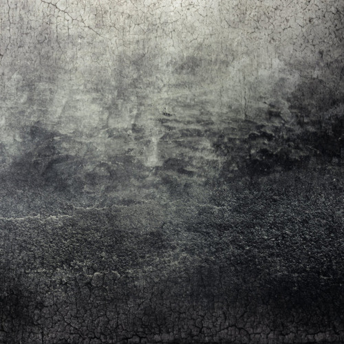 Experiment 01: Evolver