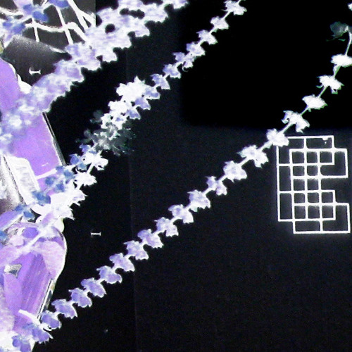 Neo-Psychedelic Review vol. 3: Cool and chill