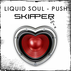 Liquid Soul - Push (Skipper Remix)
