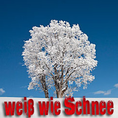 *** weiß wie Schnee *** Werner LandLiebe LiveRadio