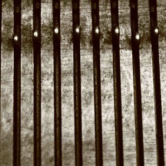 LIV || distance || Zero Wait State || 2012 ||