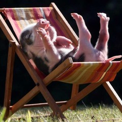 Chillside Life Love and Harmony