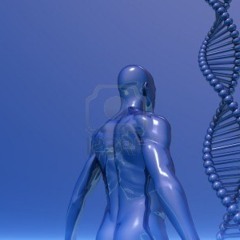 Allo Trance - chromosome  final