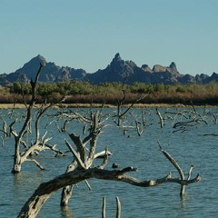 KathleenBlair~Havasu