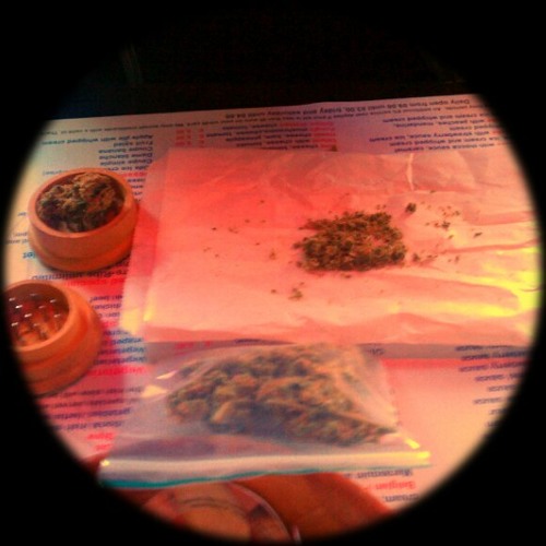 Blunts And Biomechanical Engineering...