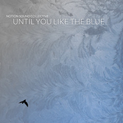 Notion Sound Collective - Until you like the blue