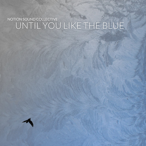 Notion Sound Collective - Until you like the blue