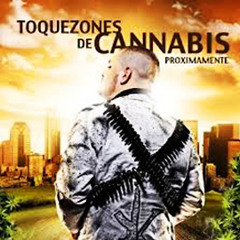 TOKEZONES DE CANNABIS - EPICENTER