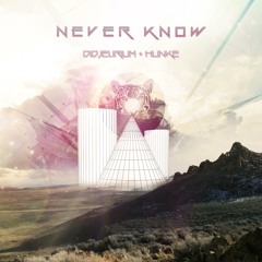 hunkE feat. Didjelirium - Never Know