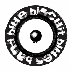 Sunshine: Blue Biscuit Blues Band