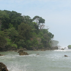 Fieldrecording: Where the jungle meets the sea: monkeys, birds, waves at the tip of western Java
