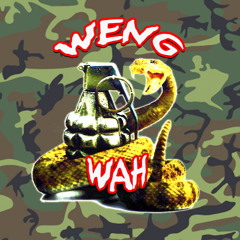 D.N.A! - Colonel Weng Wah