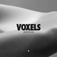 Voxels - Just for You