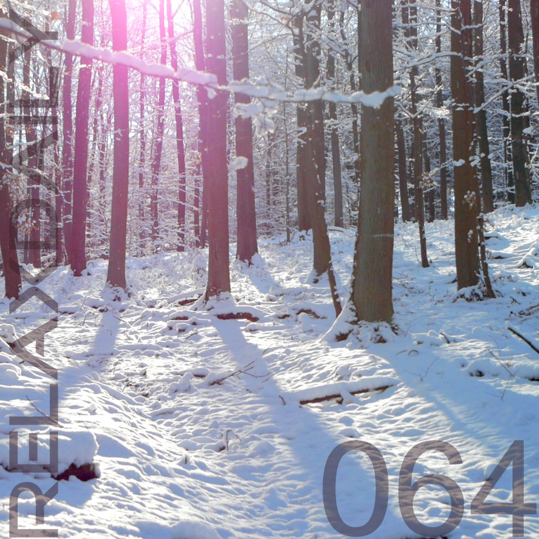 Stream Instrumental Music to Relax, Study and Work - Snowy Woods