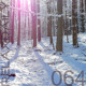 on Instrumental Music to Relax, Study and Work - Snowy Woods -  relaxdaily N°064