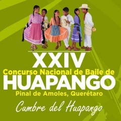 Concurso de Huapango Pinal de Amoles 2013