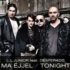 LL Junior feat Desperado - Ma éjjel (Paul Vintage Remix)