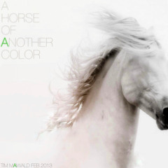 A HORSE OF ANOTHER COLOR-TIM MAIWALD-FEB.2013