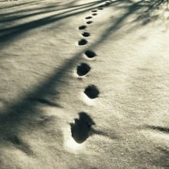 το πρώτο βήμα