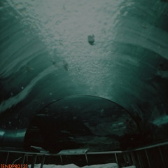 Ext - Rain of Your Past EP [ENDPR013] Preview OUT NOW