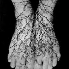 Roots