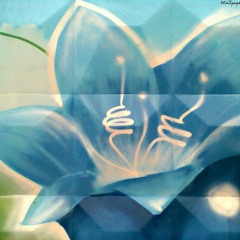 06-04-12 Pop
