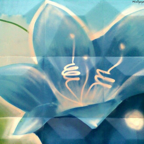 06-04-12 Pop