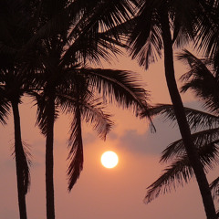 Evening Sun