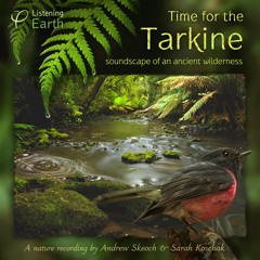 'Time for the Tarkine' - free 75 minute nature album to download