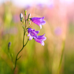 Impossible [Shontelle] - James Arthur cover - The X Factor UK 2012 Final.