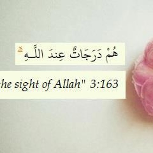 هم درجات عند الله - د/ حازم شومان